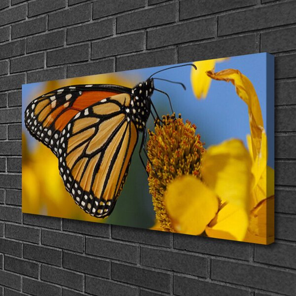 Quadro su tela Natura del fiore della farfalla 100x50 cm