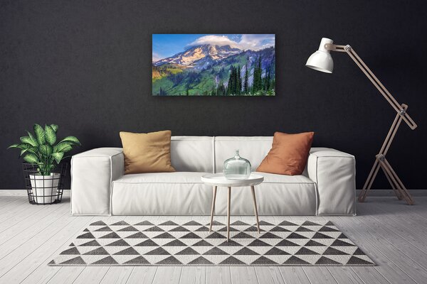 Quadro su tela Paesaggio della natura della foresta di montagna 100x50 cm