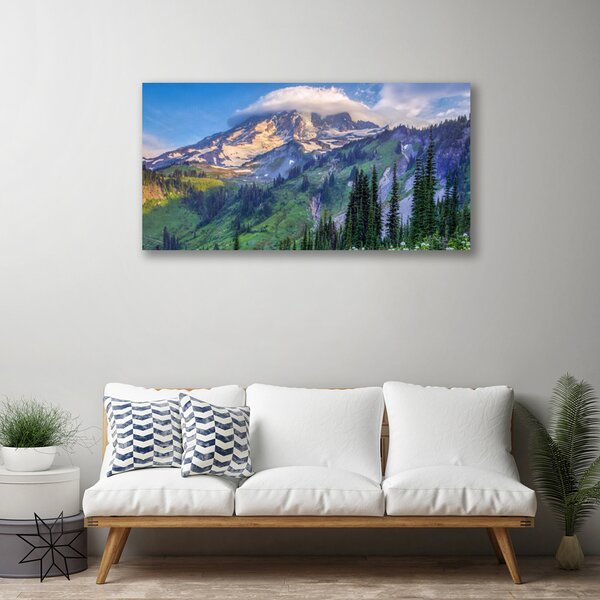 Quadro su tela Paesaggio della natura della foresta di montagna 100x50 cm