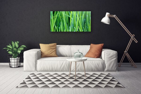 Quadro su tela Erba, Gocce, Natura 100x50 cm