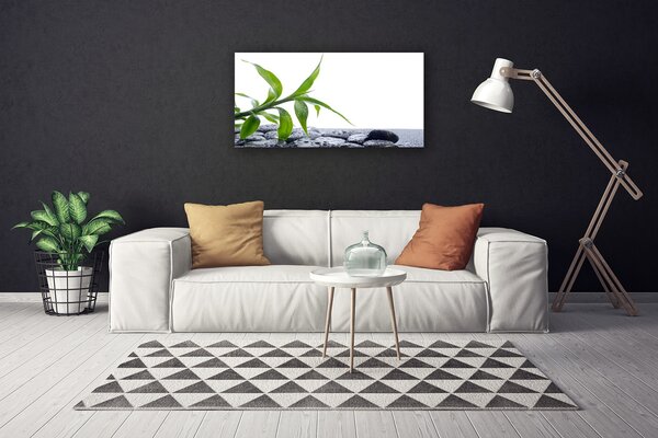Quadro su tela Foglia, pietre, natura 100x50 cm