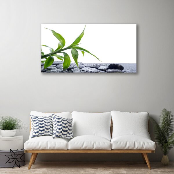 Quadro su tela Foglia, pietre, natura 100x50 cm