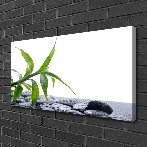 Quadro su tela Foglia, pietre, natura 100x50 cm