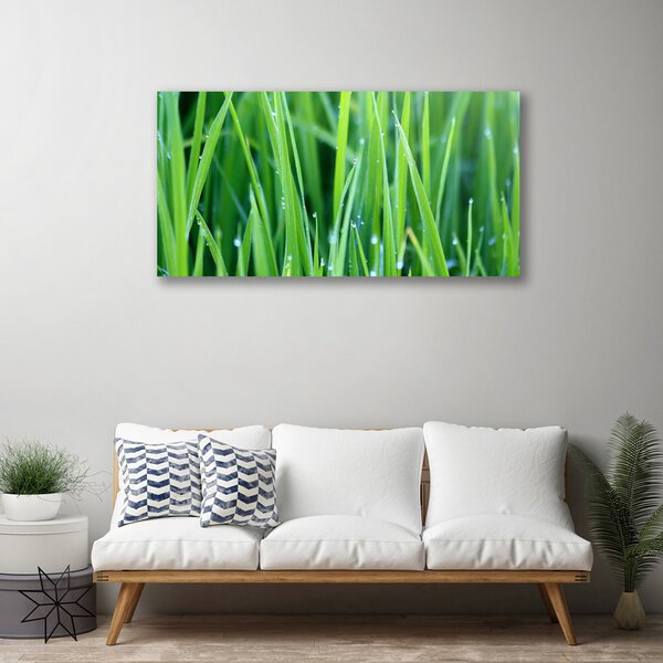 Quadro su tela Erba, Gocce, Natura 100x50 cm