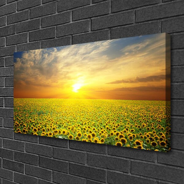 Quadro su tela Il sole, il prato, i girasoli 100x50 cm