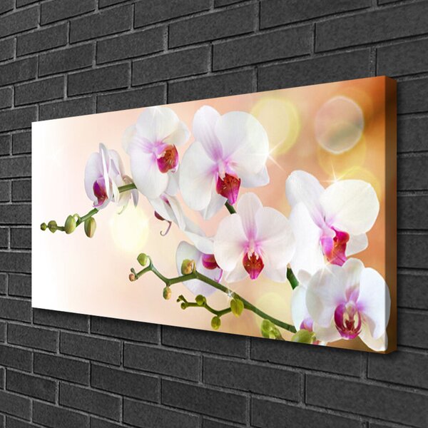 Foto quadro su tela Fiori, piante, natura 100x50 cm