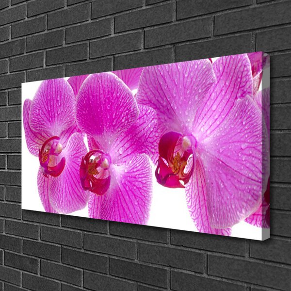 Quadro stampa su tela Fiori, piante, natura 100x50 cm