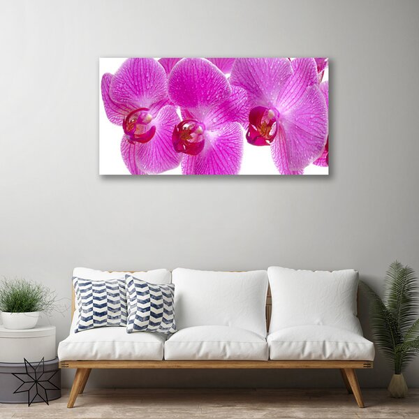 Quadro stampa su tela Fiori, piante, natura 100x50 cm