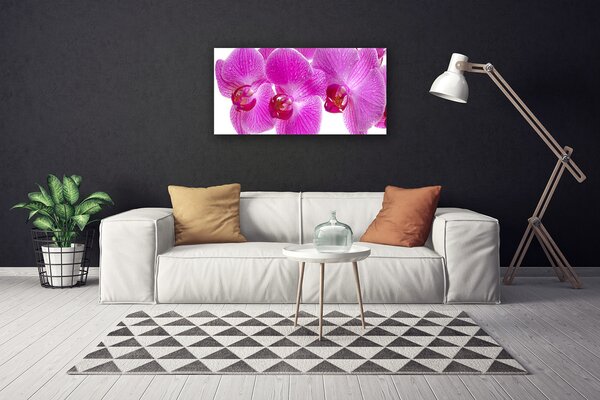 Quadro stampa su tela Fiori, piante, natura 100x50 cm