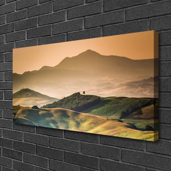 Quadro su tela Paesaggio del campo delle montagne 100x50 cm