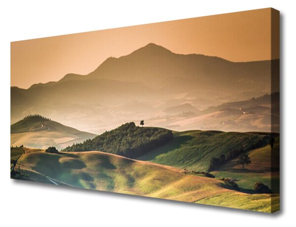Quadro su tela Paesaggio del campo delle montagne 100x50 cm