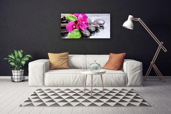Quadro stampa su tela Fiore di una pianta di orchidea 100x50 cm