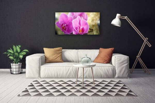 Quadro su tela Fiori, piante, natura 100x50 cm