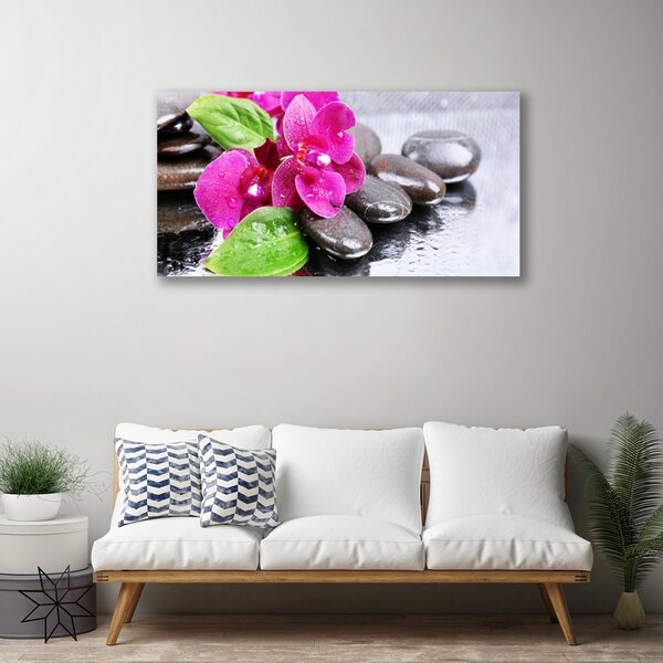 Quadro stampa su tela Fiore di una pianta di orchidea 100x50 cm
