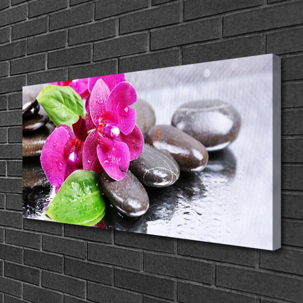 Quadro stampa su tela Fiore di una pianta di orchidea 100x50 cm