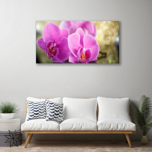 Quadro su tela Fiori, piante, natura 100x50 cm