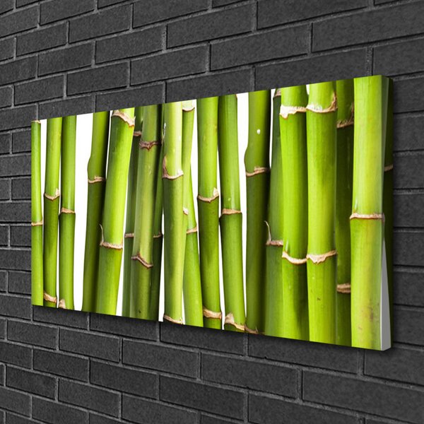 Quadro stampa su tela Bambù Pianta Natura 100x50 cm