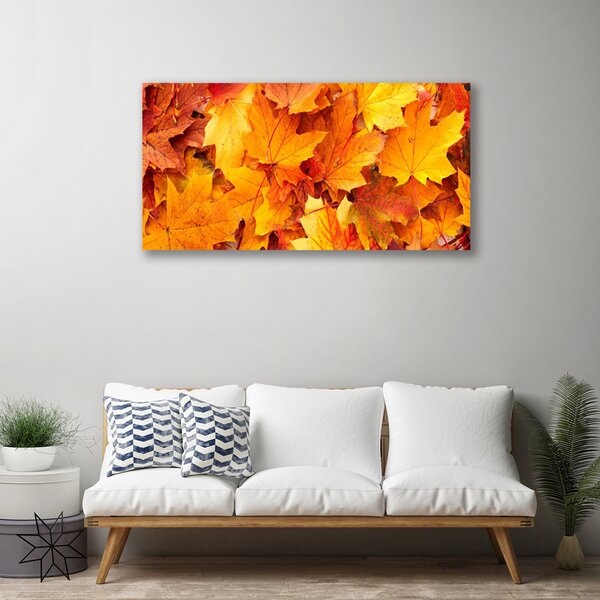 Quadro su tela Foglie di piante naturali 100x50 cm