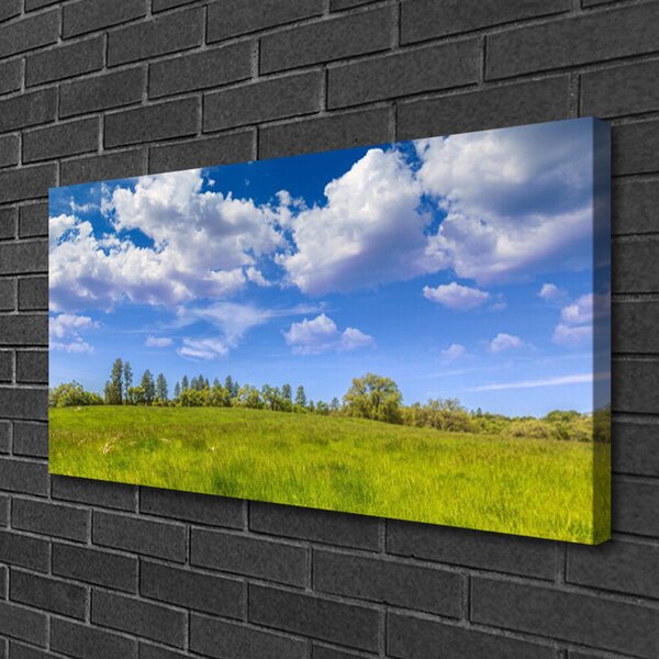 Quadro stampa su tela Paesaggio del cielo dell'erba del prato 100x50 cm