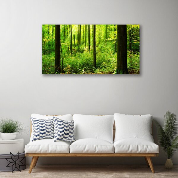 Quadro su tela Foresta Alberi Verdi Natura 100x50 cm