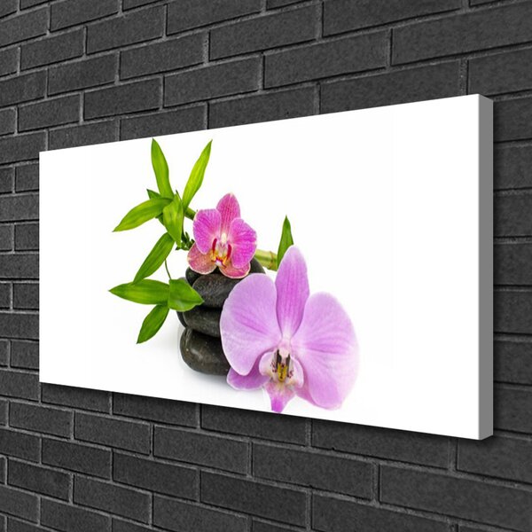 Quadro su tela Pianta dell'orchidea del fiore 100x50 cm