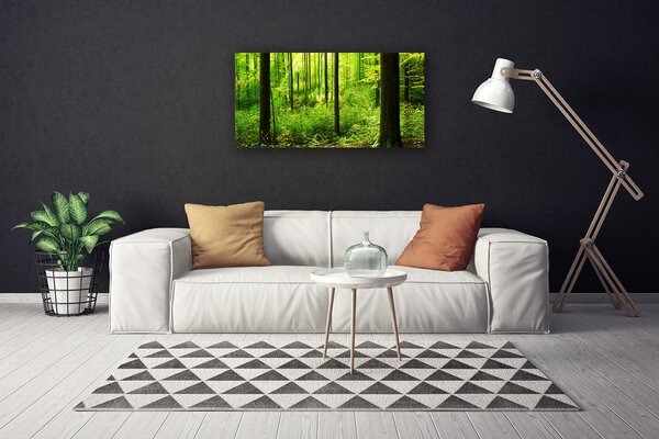 Quadro su tela Foresta Alberi Verdi Natura 100x50 cm