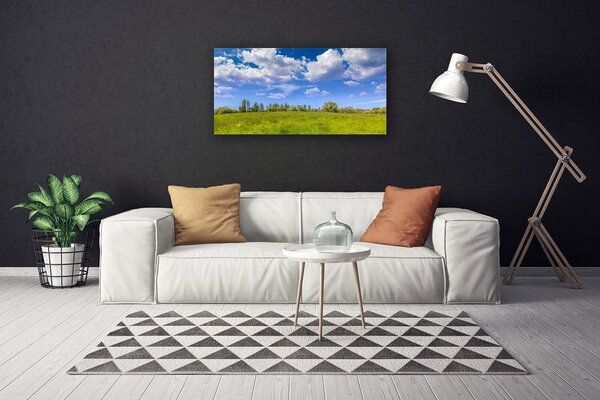 Quadro stampa su tela Paesaggio del cielo dell'erba del prato 100x50 cm
