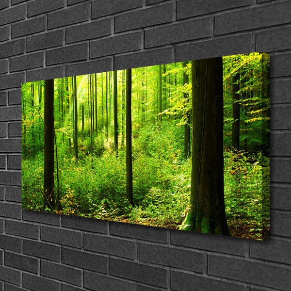 Quadro su tela Foresta Alberi Verdi Natura 100x50 cm