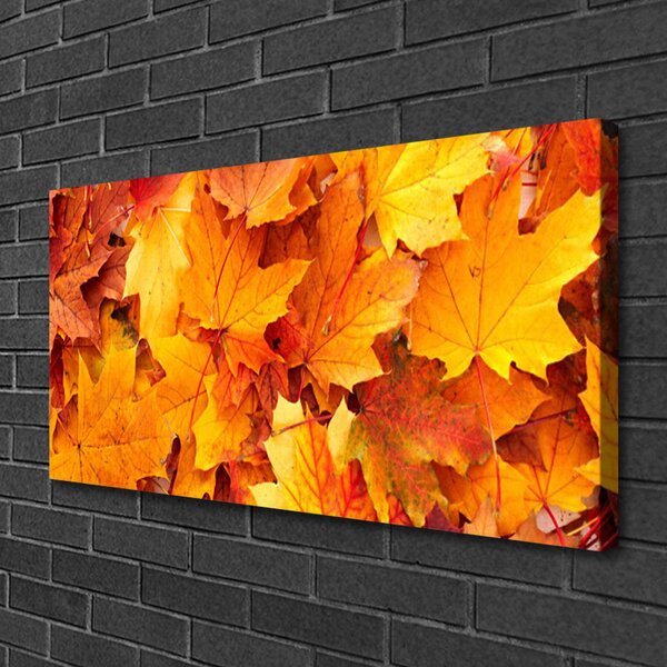 Quadro su tela Foglie di piante naturali 100x50 cm