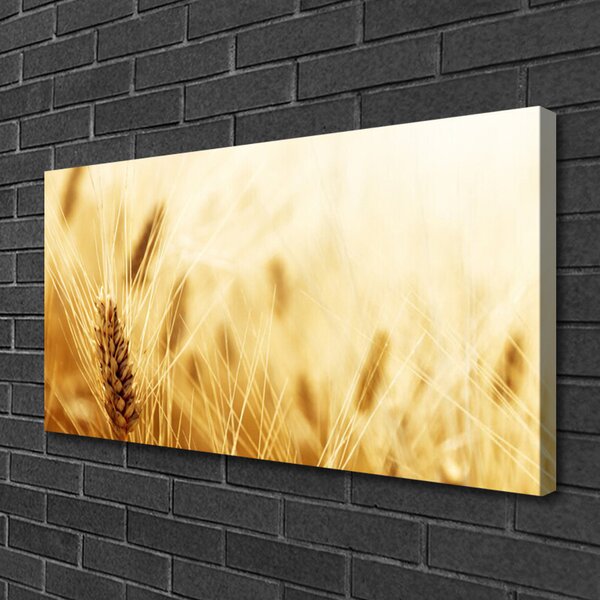 Quadro stampa su tela Grano vegetale naturale 100x50 cm