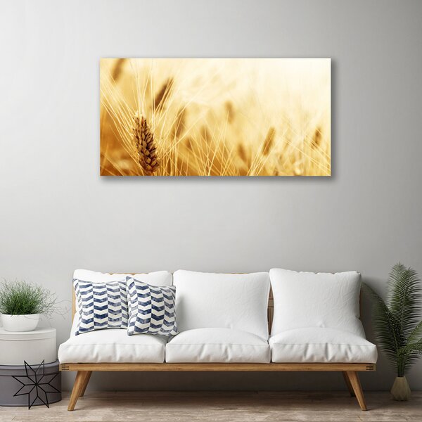 Quadro stampa su tela Grano vegetale naturale 100x50 cm