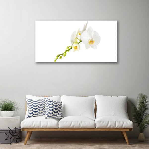 Quadro su tela Fiori, piante, natura 100x50 cm