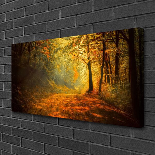 Quadro su tela Foresta. Sentiero. Alberi. Natura 100x50 cm