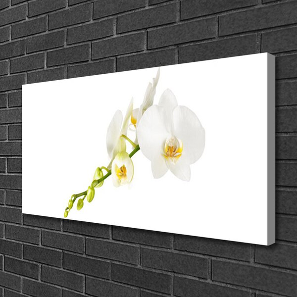 Quadro su tela Fiori, piante, natura 100x50 cm