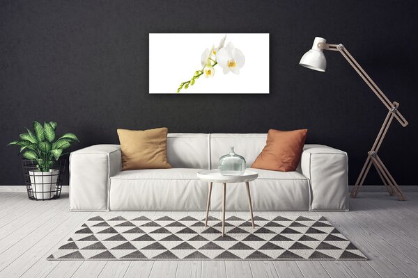 Quadro su tela Fiori, piante, natura 100x50 cm