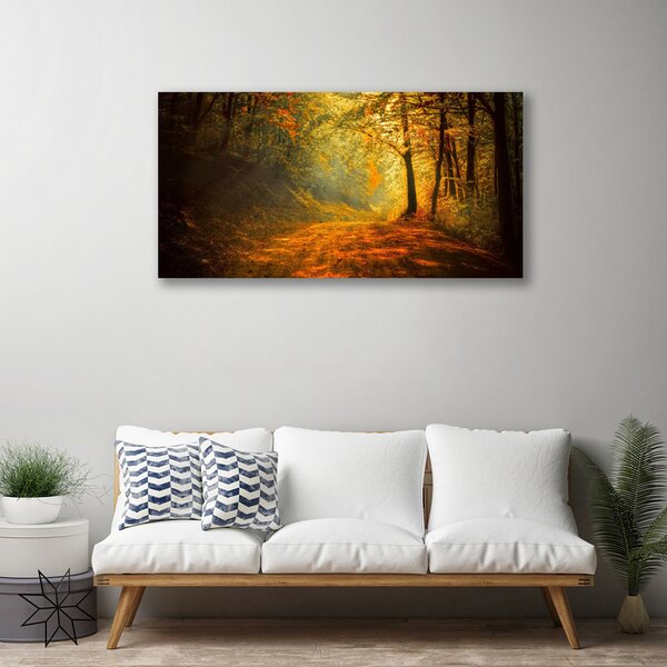 Quadro su tela Foresta. Sentiero. Alberi. Natura 100x50 cm
