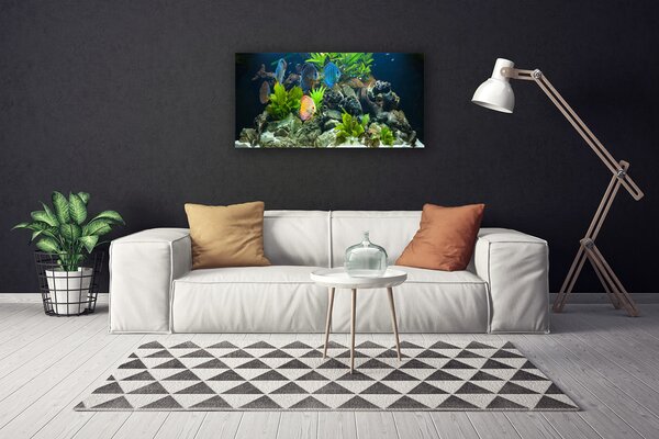 Quadro su tela Pesce d'acquario naturale 100x50 cm