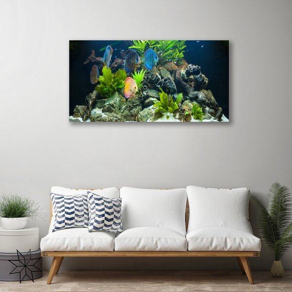 Quadro su tela Pesce d'acquario naturale 100x50 cm