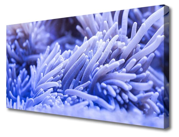 Quadro su tela Grafica di astrazione 100x50 cm