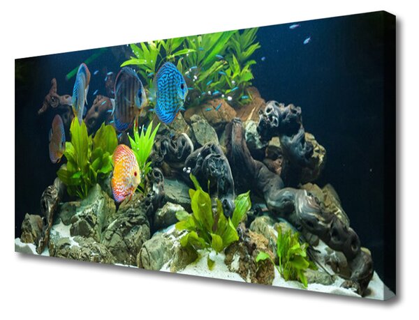 Quadro su tela Pesce d'acquario naturale 100x50 cm