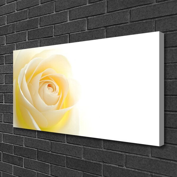Quadro su tela Natura della pianta del fiore della rosa 100x50 cm