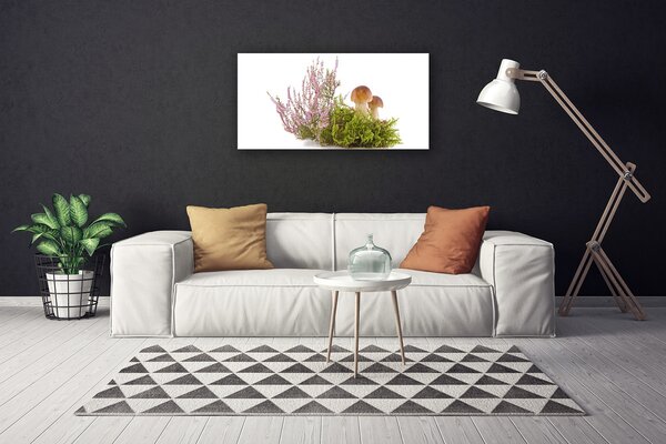 Stampa quadro su tela Funghi, piante, natura 100x50 cm