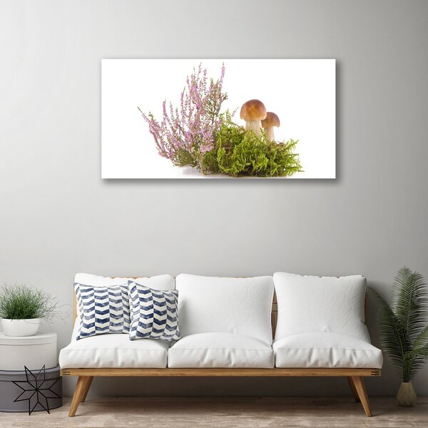 Stampa quadro su tela Funghi, piante, natura 100x50 cm