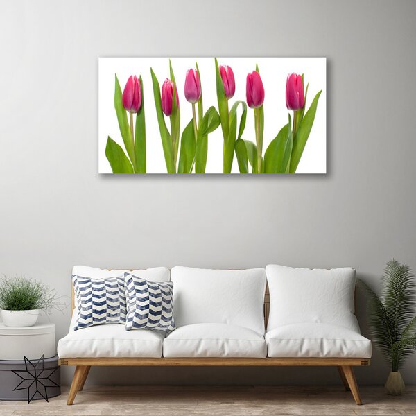 Foto quadro su tela Tulipani, fiori, piante 100x50 cm