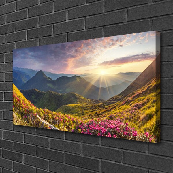 Quadro su tela Paesaggio del sole del prato di montagna 100x50 cm