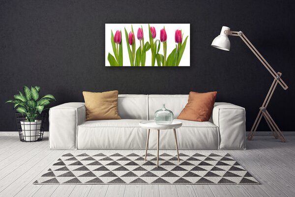 Foto quadro su tela Tulipani, fiori, piante 100x50 cm