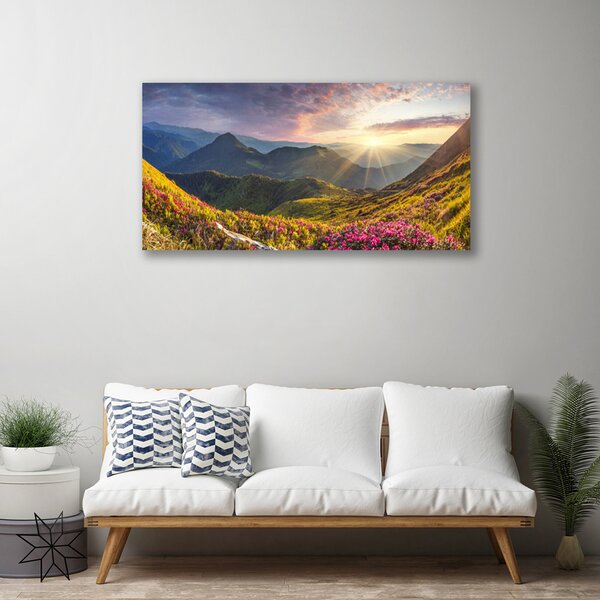 Quadro su tela Paesaggio del sole del prato di montagna 100x50 cm