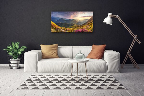 Quadro su tela Paesaggio del sole del prato di montagna 100x50 cm