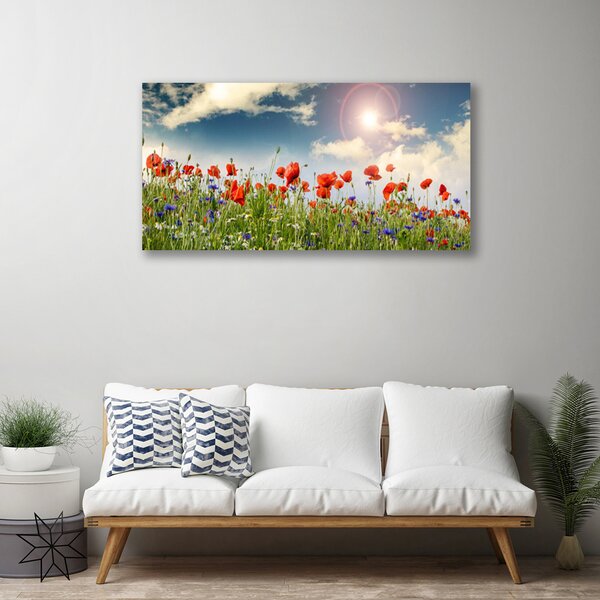 Quadro su tela Prato. Fiori. Sole. Natura 100x50 cm