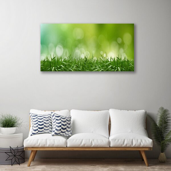 Quadro su tela Erba, piante, natura 100x50 cm